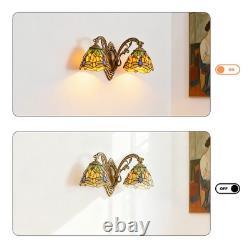 16''Retro Lighting, Double Headed Orange Dragonfly Wall Light, Mirror Headlights