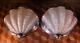 2x Vintage Deco White Glass Clam Shell 1930s Chrome Odeon Wall Light Lamp Shade