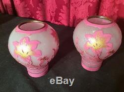 AMAZING PAIR OF VINTAGE ANTIQUE CAMEO GLASS IRIS CUTBACK LAMP SHADES