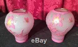 AMAZING PAIR OF VINTAGE ANTIQUE CAMEO GLASS IRIS CUTBACK LAMP SHADES