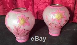 AMAZING PAIR OF VINTAGE ANTIQUE CAMEO GLASS IRIS CUTBACK LAMP SHADES