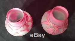 AMAZING PAIR OF VINTAGE ANTIQUE CAMEO GLASS IRIS CUTBACK LAMP SHADES