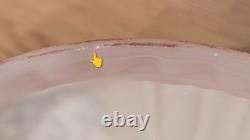 Antique 1920s Original Coleman 318 Glass Lamp Shade 10? Fitter Floral