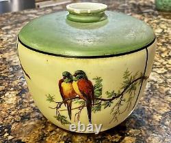 Antique 1930s Hand Painted Parrot Bird Milk Glass Lamp Light Shade Globe
