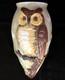 Antique Art Glass Shade With An Owl, Leaves & Moon Decorations. Rare