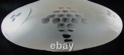 Antique Astral Sinumbra Solar Frosted Glass Lamp Shade Cut Grape Clusters 6 Rim
