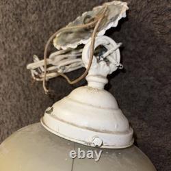 Antique Vintage Parrot Globe Glass Shade