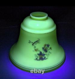 Antique Vtg 1930s-40s Custard Uranium Glass Pheasant Bird Lamp Shade 6H 8W