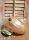 Art Nouveau Deco Nautilus Pearl Abalone Austrian Balamuti Lamp Shade, Vintage
