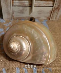 Art Nouveau Deco Nautilus Pearl Abalone Austrian Balamuti Lamp Shade, Vintage
