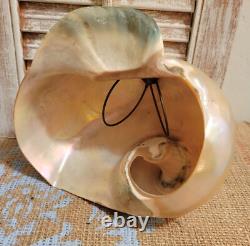 Art Nouveau Deco Nautilus Pearl Abalone Austrian Balamuti Lamp Shade, Vintage