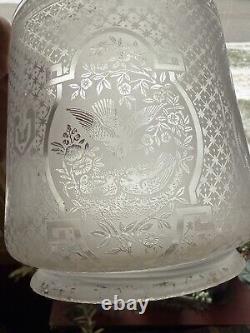 BIRD Antique Acid Etched Glass Oil Gas Hall Lamp Shade Victorian Cylinder 5 Fit