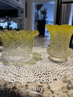 Beautiful Vintage Gas/Oil Lamp Shades