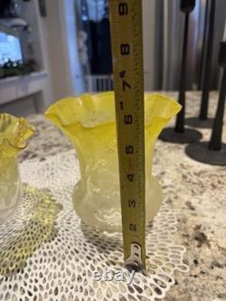 Beautiful Vintage Gas/Oil Lamp Shades