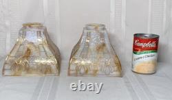Bournique Arts & Crafts, Cone Flower, Gold Outlined, 4 Sided Lighting Shades