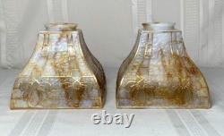 Bournique Arts & Crafts, Cone Flower, Gold Outlined, 4 Sided Lighting Shades