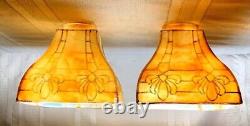 Bournique Arts & Crafts, Cone Flower, Gold Outlined, 4 Sided Lighting Shades