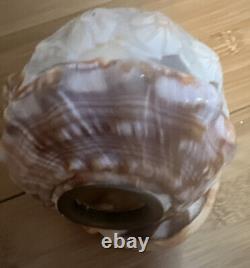 Italian Vintage Grand Tour Carved Conch Shell Blessed Mother Carved Lamp