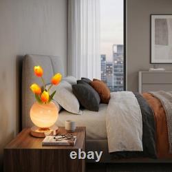 Mini Orange Tulip Table Lamp, 5in Living Room/foyer Home Decoration Lighting, New