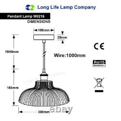Modern Vintage Industrial Loft Glass Ceiling Lamp Shade Pendant Light M0216