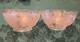 Pair Antique Victorian Deep Etched Floral Glass Kerosene Oil Gas Lamp Shades