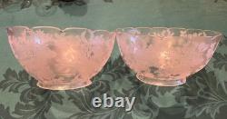 PAIR Antique Victorian Deep Etched Floral Glass Kerosene Oil Gas Lamp Shades