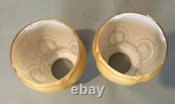 Pair of Vintage Cased Satin Art Glass Lamp Shades