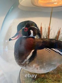RARE vintage Mallard Duck Lamp withclear glass 3way lighting, lodge cabin cottage