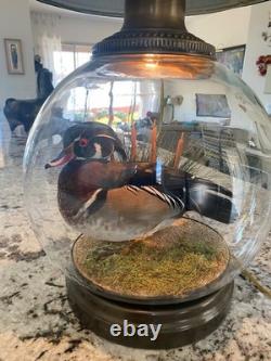 RARE vintage Mallard Duck Lamp withclear glass 3way lighting, lodge cabin cottage