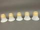 Set 5 Art Deco Lamp Shades Satin Glass Stenciled Embossed 1920's/ 30's 2.25 Fit