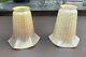 Similar Pair Of Decorated Antique Art Glass Lamp Shades