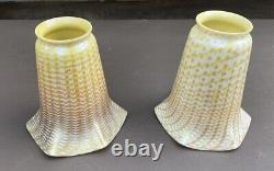 Similar Pair Of Decorated Antique Art Glass Lamp Shades