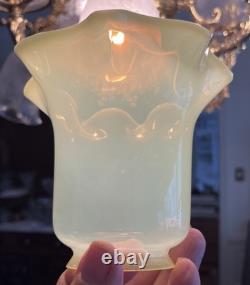 THREE Antique Art Nouveau VASELINE URANIUM Glass Electric Shades 2-1/4 Fitter