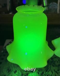 THREE Antique Art Nouveau VASELINE URANIUM Glass Electric Shades 2-1/4 Fitter