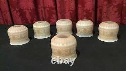 Unusual Set Of 6 Vintage Antique Victorian Etched Glass Lamp Shades