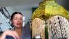 Vihose Victorian Scallop Lamp Shade Such A Beautiful Vintage Style Lamp Shade Love The Green