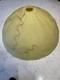 Vintage Art Deco Frosted Marbled Butterscotch Color Opaque Glass Light Shade 18