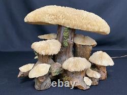 Vintage Coral Mushroom Lamp MCM Coral Shades Wood Psychedelic Retro Trippy Art