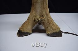 Vintage Deer Foot Leg Lamp & Shade Hunting Cabin Lodge Man Cave Hoof Feet WORKS