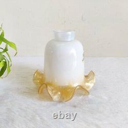 Vintage Floral Art Dual Tone White Cream Glass Lamp Shade Lighting Collectible