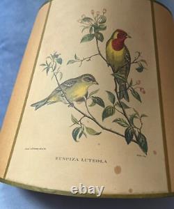 Vintage MID Century Lamp Shade Birds J. Gould Buntings Euspiza Luteola