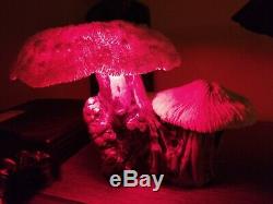 Vintage Magic Mushroom Groovy Burlwood Coral Shade Lamp Folk Art Night Light