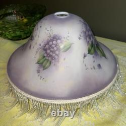 Vintage Victorian Style Hand Painted Floral Glass Beaded Lamp Shade -RARE 16