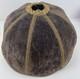 Vintage Victorian Velour Lampshade Velvet Style Gold Trim